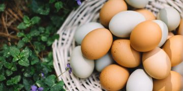 Atsakė į amžiną klausimą: kuo skiriasi balto ir rudo lukšto kiaušiniai?