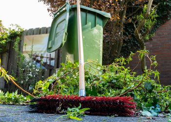 Pavasario darbai gėlyne: kur dėti žaliąsias atliekas, kad nesiveistų šliužai