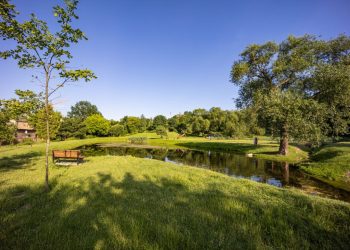 Mokslininkai: aplinkosauga Lietuvoje labiau susirūpinusios moterys