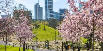 Japoniškas sodas – kelionė į save