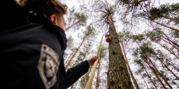 Aplinkos ministerija skatina studijuoti miškininkystę: skyrė 21 stipendiją