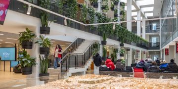 Informacija apie šią savaitę nagrinėjamus socialinių išmokų prašymus