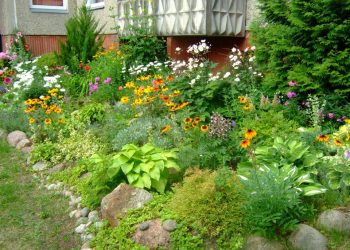 Tinkamas žaliųjų atliekų tvarkymas Vilniuje