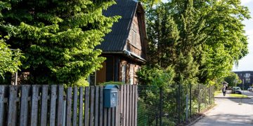 Didėja saugotinų medžių atkuriamoji vertė: ką turi žinoti privačių sklypų savininkai