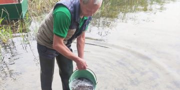 Trakų rajono savivaldybėje įžuvinami ežerai