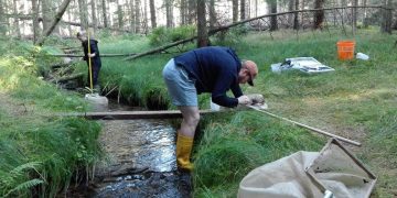 Biologinei įvairovei Europos gėluose vandenyse iškilusi grėsmė – mokslininkai ragina imtis priemonių