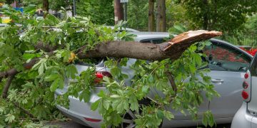 Istoriškai rekordinė audra negailėjo gyventojų turto – ar galima apsisaugoti ateityje?