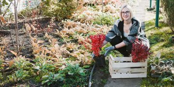 Sodo ir daržo darbai artėjant rudeniui: specialistų patarimai, ką sėti ir kokių darbų imtis