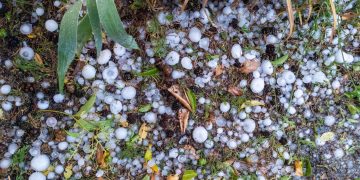 Kruša suniokojo dalį derliaus, pastatų ir technikos: vertinami nuostoliai, ieškoma pagalbos būdų