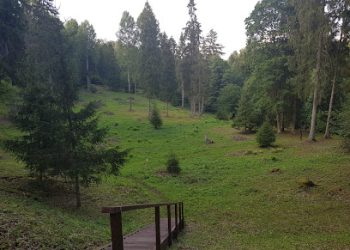 Žygis į Mošos archeologinį draustinį