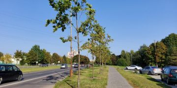 Nacionalinio stadiono teritorijoje vyksta intensyvūs darbai