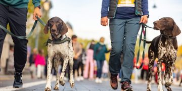 Masinio ėjimo renginys jau šį sekmadienį: bus eismo ribojimų
