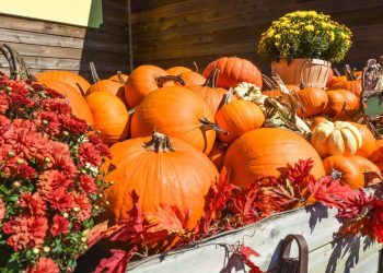 Rudens gėrybių kermošius Onuškyje