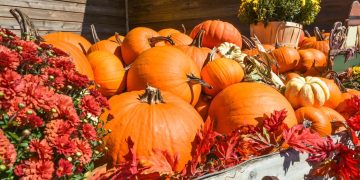 Rudens gėrybių kermošius Onuškyje