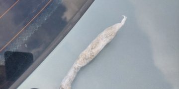 Su narkotinėmis medžiagomis įkliuvo BMW vairuotojas