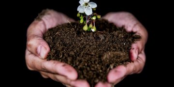 Kaip tvarkyti žaliąsias atliekas, kad gautume naudą?