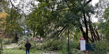 Vilniuje šalinami savaitgalį siautusios audros padariniai: išvežami lūžę medžiai ir šakos