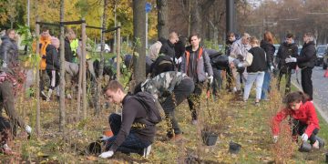 Vilniaus meras V. Benkunskas kviečia į sodinimo talką Karoliniškėse – kurkime žalesnę sostinę kartu
