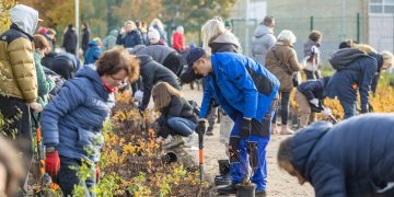 Vilniečiai Karoliniškėse kartu pasodino 3000 krūmų