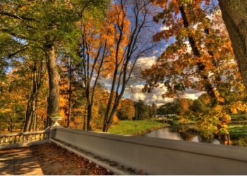 Ekskursija apie Užutrakio parko medžius