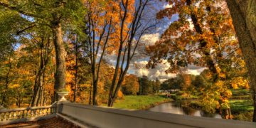 Ekskursija apie Užutrakio parko medžius