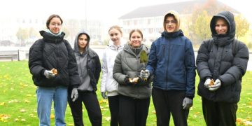 Pavasarį narcizų bus daugiau