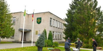 Pabarė: eglutė ateičiai