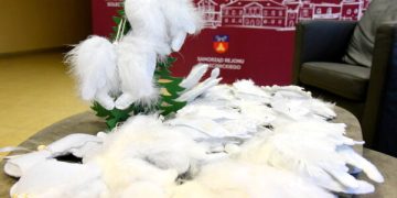 Šalčininkų gerumo sparnai išskrido į LR Prezidentūrą