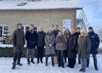 Ekologinių Danijos ūkių sėkmės paslaptis: dėmesys efektyvumui, inovacijoms ir vartotojų pasitikėjimas