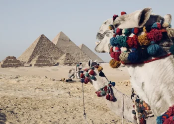 Atostogų Egipte gidas: ką pamatyti, paragauti, kokias pramogas išbandyti?