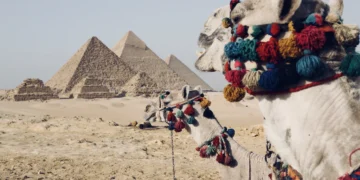 Atostogų Egipte gidas: ką pamatyti, paragauti, kokias pramogas išbandyti?