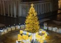 Vilnius įžiebė natūralią Kalėdų eglę: kviečia atsigręžti į nematerialias vertybes