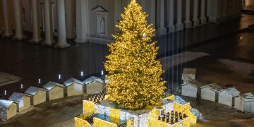 Vilnius įžiebė natūralią Kalėdų eglę: kviečia atsigręžti į nematerialias vertybes