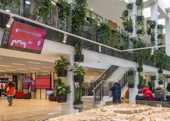 Informacija vilniečiams dėl socialinių išmokų mokėjimo gruodį