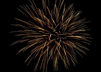 Šumske įžiebta nuostabi Kalėdų eglutė