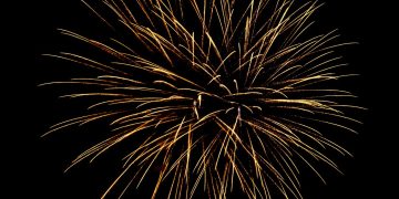 Šumske įžiebta nuostabi Kalėdų eglutė