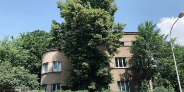 Vilniuje tęsiama medžių inventorizacija: medžiai saugomi ir privačiuose sklypuose