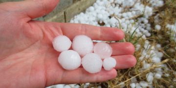 Priimamos paraiškos dėl palūkanų kompensavimo nuo audros nukentėjusiems ūkininkams