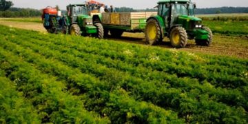 Ūkininkus pasieks klimatui, aplinkai ir gyvūnų gerovei naudingų sistemų išmokų avansai