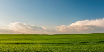 Rudeninio tręšimo aktualijos