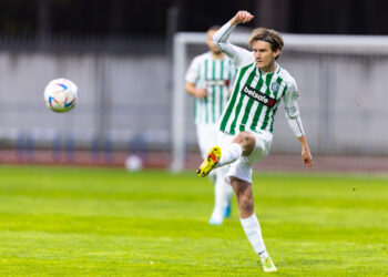 P. Mamičius žais Rumunijoje