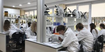 Ketveri metai išbandyti save: kaip gimnazija prisideda renkantis ateities profesiją?