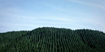 Dvidešimtą kartą paskelbtas tvariausių pasaulio įmonių šimtukas