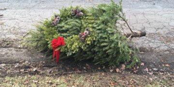 Vilniaus rajone – virš 40 aikštelių šventinėms eglutėms surinkti (sąrašas)