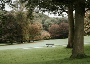 Lentvario miesto biblioteka – Kultūros paso programoje
