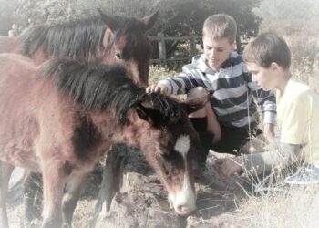 Vėl startuoja Šviečiamoji gyvulininkystės programa vaikams ir jaunimui