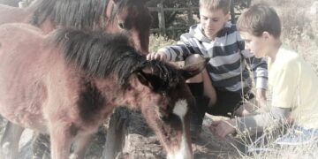 Vėl startuoja Šviečiamoji gyvulininkystės programa vaikams ir jaunimui