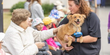 Vilnius kviečia senjorus tapti šeimininkų netekusių augintinių globėjais