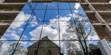 Vilnius siekia dar labiau apsaugoti brandžius medžius