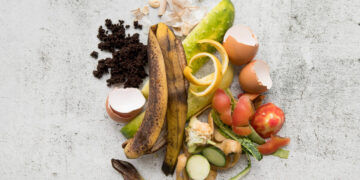 Naudingos rekomendacijomis, kaip rūšiuoti biologines atliekas